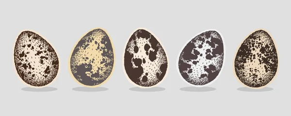 Set di uova di quaglia. Vettore colorato disegnato a mano. Design per tessuto, stampa, tessile, carta da imballaggio. grafica guscio d'uovo. — Vettoriale Stock
