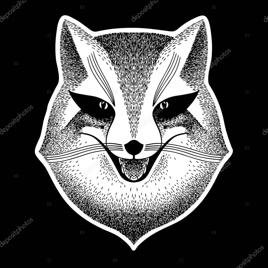 Fox. Stylized portrait of a sly fox on a black background. Sly fox smiles. Black and white sketch. Liar, dodger, mischievous, hoaxer, trickster.