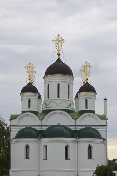 Architecture Des Églises Cathédrales Orthodoxes Russes Murom Région Vladimir Russie — Photo