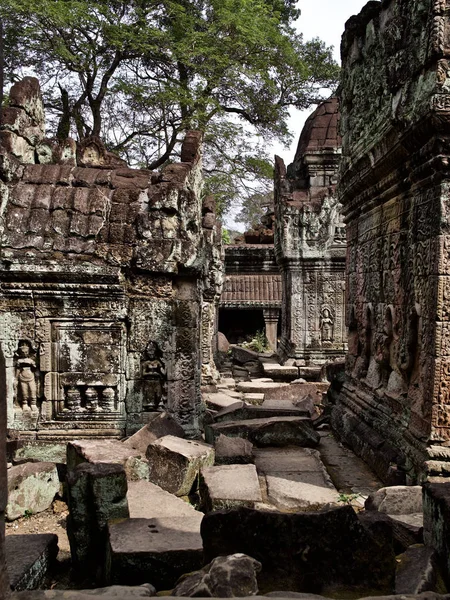 Mimarlık antik tapınak karmaşık Angkor, Siem Reap