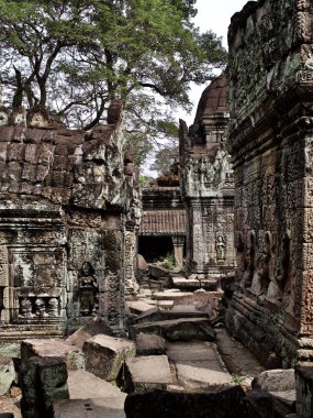 Mimarlık antik tapınak karmaşık Angkor, Siem Reap
