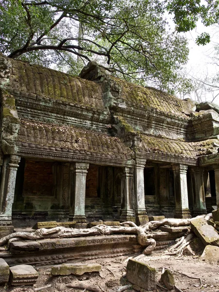 Architektur des antiken Tempelkomplexes angkor, siem reap — Stockfoto