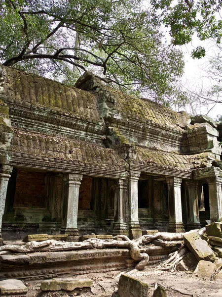 Architektur des antiken Tempelkomplexes angkor, siem reap — Stockfoto