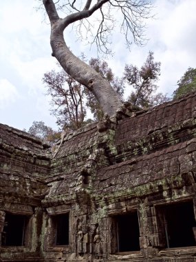Mimarlık antik tapınak karmaşık Angkor, Siem Reap