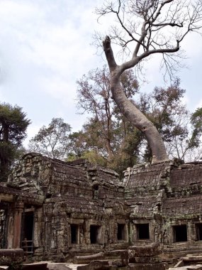 Mimarlık antik tapınak karmaşık Angkor, Siem Reap