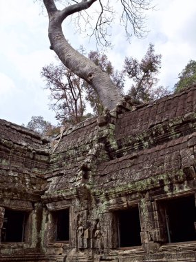 Mimarlık antik tapınak karmaşık Angkor, Siem Reap