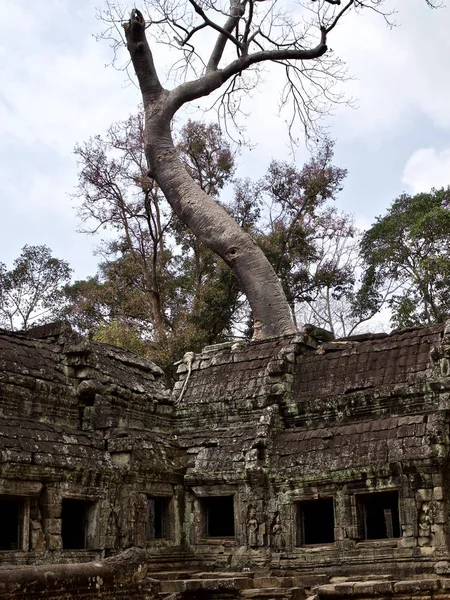 Arquitectura del antiguo complejo del templo Angkor, Siem Reap — Foto de Stock