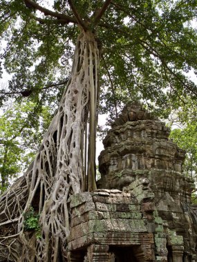 Mimarlık antik tapınak karmaşık Angkor, Siem Reap