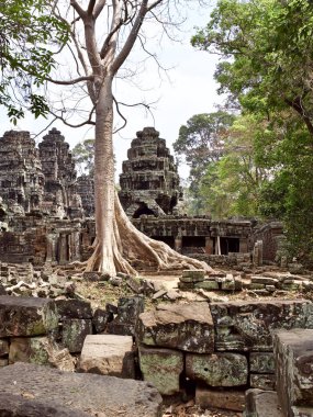 Mimarlık antik tapınak karmaşık Angkor, Siem Reap