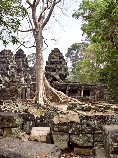 Архітектура стародавнього храму комплекс Ангкор, Siem Reap — стокове фото