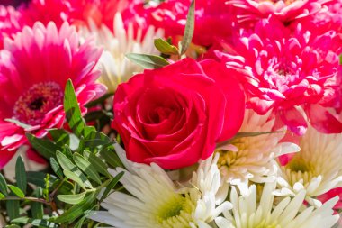Bir kırmızı gül kafa amungst doğal ışık alınan çiçek güzel bir demet ayarlayın ve bir çiçekçi için iyi bir görüntü olur.