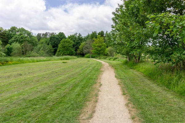 Treelined Footpath Scottish Woodland Blue Summer Skys Scotland — Stock Photo, Image