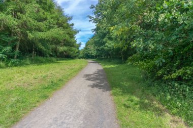Yaz aylarında güneş ışığı ve gölgeler ile sol bir İskoç Parkı içinde için çalıştırıyor patika İskoç ağaç kaplı..