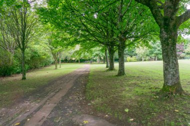 İskoç ağaç patika yumuşak ışık ve gölge ile bir İskoç park içinde yaz ve yağmurdan barınma kaplı.