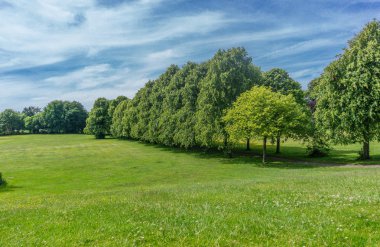 Güneş ışığı ve gölgeler ve yemyeşil yeşil çim ile yaz aylarında İskoç bir park içindeki güzel ağacı satırı