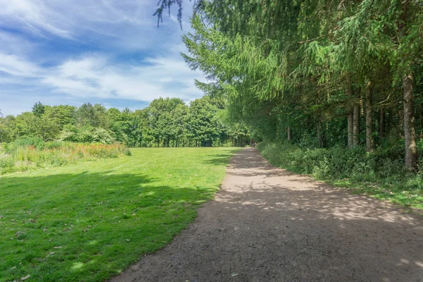 Scottish Tree Lined Footpath Sunlight Shadows Scottish Park Summertime — Stock Photo, Image