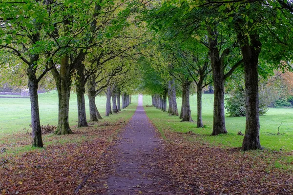 Sentier Couvert Arbres Début Automne Eglinton Irvine Scotland Première Effusion — Photo