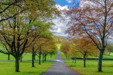Bellahouston Park Güney yan Glasgow, İskoçya'nın, Craigton, Dumbreck, Ibrox ve Mosspark alanları arasında genel bir parkın güzel sonbahar renkleri.