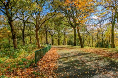 Bellahouston Park Güney yan Glasgow, İskoçya'nın, Craigton, Dumbreck, Ibrox ve Mosspark alanları arasında genel bir parkın güzel sonbahar renkleri.