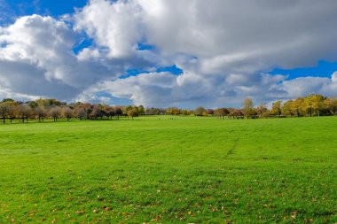Bellahouston Park Güney yan Glasgow, İskoçya'nın, Craigton, Dumbreck, Ibrox ve Mosspark alanları arasında genel bir parkın güzel sonbahar renkleri.