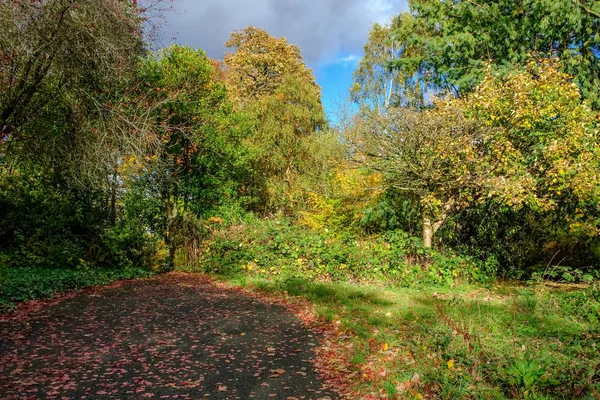 美丽的秋季色彩在 Bellahouston 这是一个公共公园 在苏格兰格拉斯哥的南部 克雷格顿 Dumbreck 阿森纳和 Mosspark 地区之间 — 图库照片