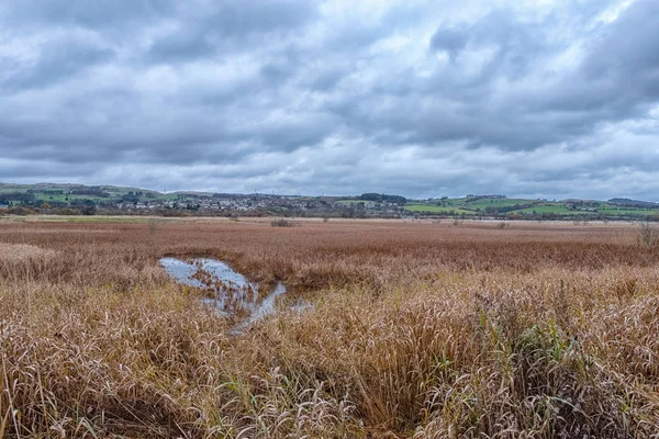 Ser Som Jätte Footprint Castle Semple Marshes Loch Vid Finspang — Stockfoto