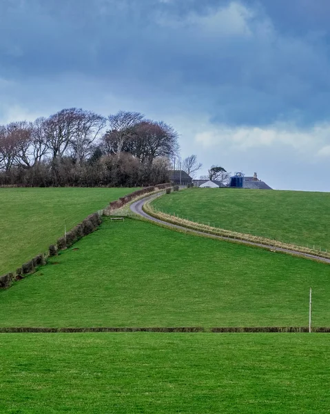 Ayrshire Velden Een Hellende Weg Loopt Het Beeld Naar Eigenschap — Stockfoto