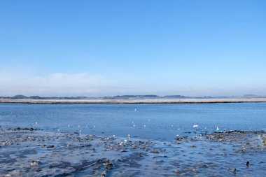 Irvine Harbour kısmen demek İskoçya'da dondurulmuş bir soğuk kış buz dondurulmuş deniz kıyısı ile kışın. Bir süre için yeniden geliştirilmesi için ama kusura bakma ama işaretli resession geçerli durumundaki yatıyordu sahip Scotlands için.