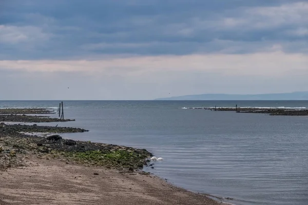 Puerto de Irvine en Ayrshire Escocia con vistas a las viejas algas marinas — Foto de Stock