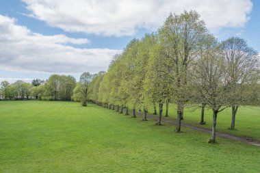 Eglinton Park güzel olgun ağaçları ile İskoçya'da yaz başında.