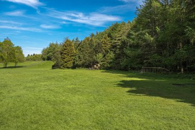 Scotlands Parklar Açık Çim Alanları ve Lucious Greenery Surr olmak