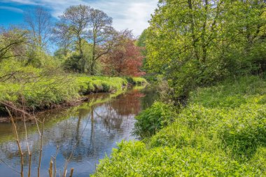 Scotlands Parklar Lucious Greenery ve nazik akan nehir ile