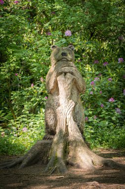 Bir Ağaç Fullarton Park Troon Yaslanmış Bir Ayı Komik Oyma