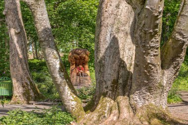 Lachlan Tr tarafından Fullarton Fairy Glen lachlan Ahşap Oyma