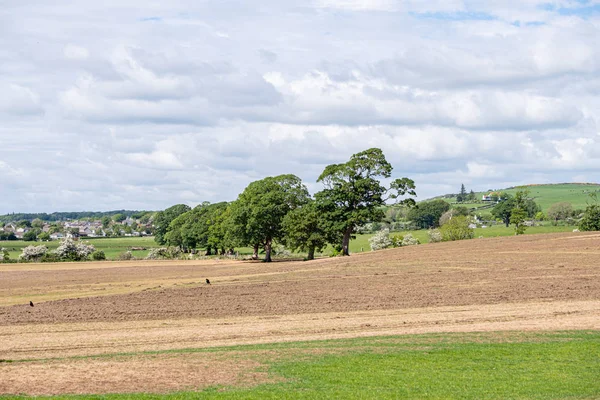 Ayrshire Fields looking over To the Town of Loans and the High G — Stock Photo, Image