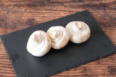 Bir Kayrak ve koyu oa üzerine yerleştirilen büyük beyaz mantar bir satır