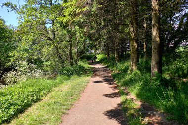 Scottlands Forrest Yolları ile Run Fairy Glen Footpaths.