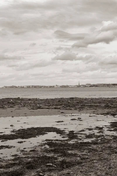 Greenan Bay Düşük Gelgit Likens ve Seaweed ile Town o üzerinde — Stok fotoğraf
