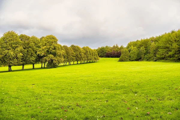 Mature Scottish Green Trees Prior to the Changes To Autumn Colou — Stock Photo, Image