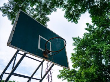 Yeşil Ağaçların Altında Basketbol Hoop - Lush Tropikal Yeşillik ve Gökyüzü Arkaplanlı Açık Basketbol Sahası Düşük Açı Görünümü.