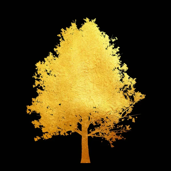 Siyah arka plan üzerinde izole yaprakları ile Altın ağaç. — Stok fotoğraf
