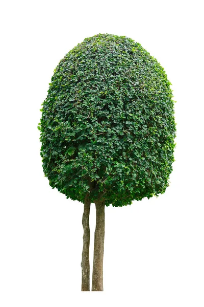 Green tree wig hot sale