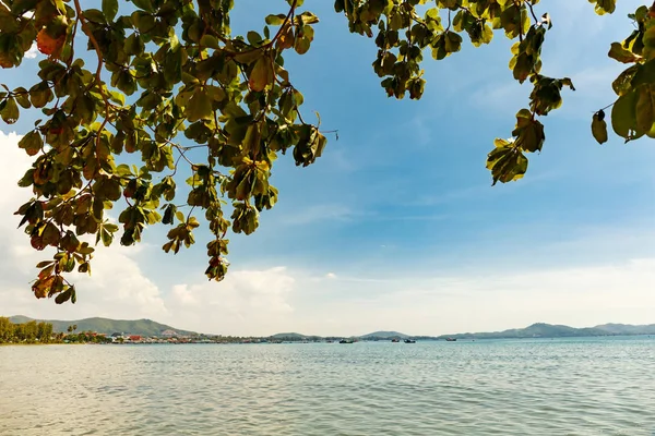 Thailand Beach Blue Sky Clear Weather — Stock Photo, Image