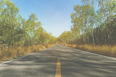 köy yolunda ağaç.