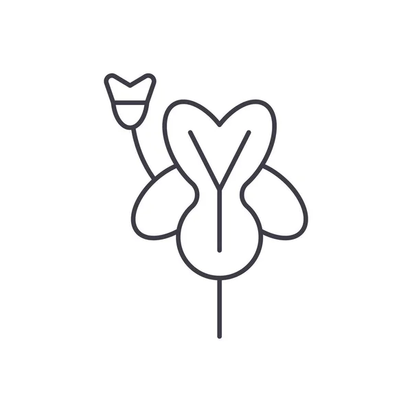 Concetto icona linea Alstroemeria. Alstroemeria segno vettoriale piatto, simbolo, illustrazione . — Vettoriale Stock
