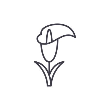 Calla lily satırı simgesi kavramı. Calla lily düz vektör işaret, sembol, şekil.