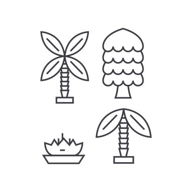 Palmiye ağacı ince çizgi simgesini kavramı. Palmiye ağacı doğrusal vektör işaret, sembol, şekil.