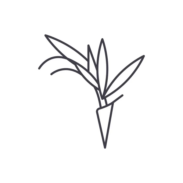 Oiseau de paradis concept icône de ligne de fleur. Oiseau de paradis fleur plat vecteur signe, symbole, illustration . — Image vectorielle