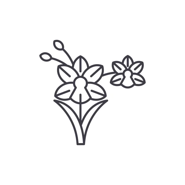 Concepto de icono de línea de orquídea. Orquídea vector plano signo, símbolo, ilustración . — Archivo Imágenes Vectoriales