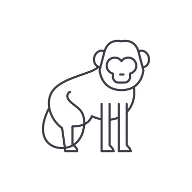 Maymun çizgi simgesini kavramı. Babun vektör lineer illüstrasyon, sembol, işareti